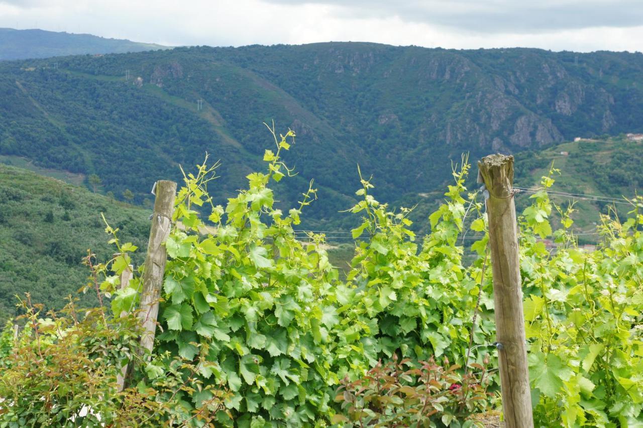 דירות Sober O Forno Casa Ferrador Ribeira Sacra מראה חיצוני תמונה